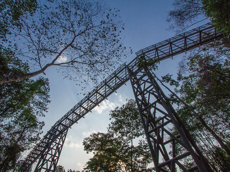 Image of Mae Rim Wonders: Elephant Camp, Sky Adventures & Moroccan Charm