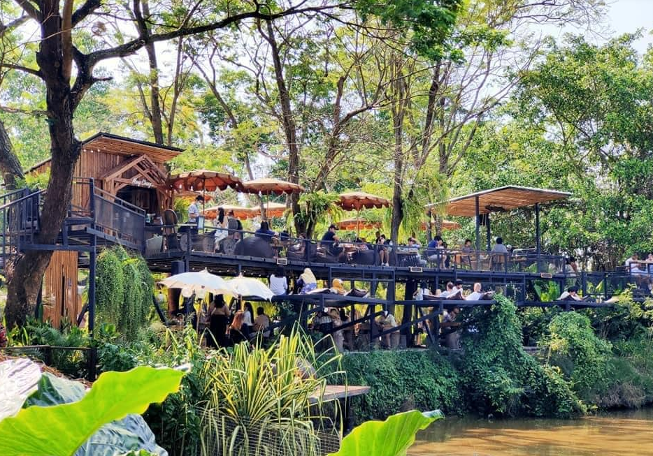 Image of Pattaya Highlights Tour – Elephant Sanctuary, Iconic Cafés & Sunset Fish Market