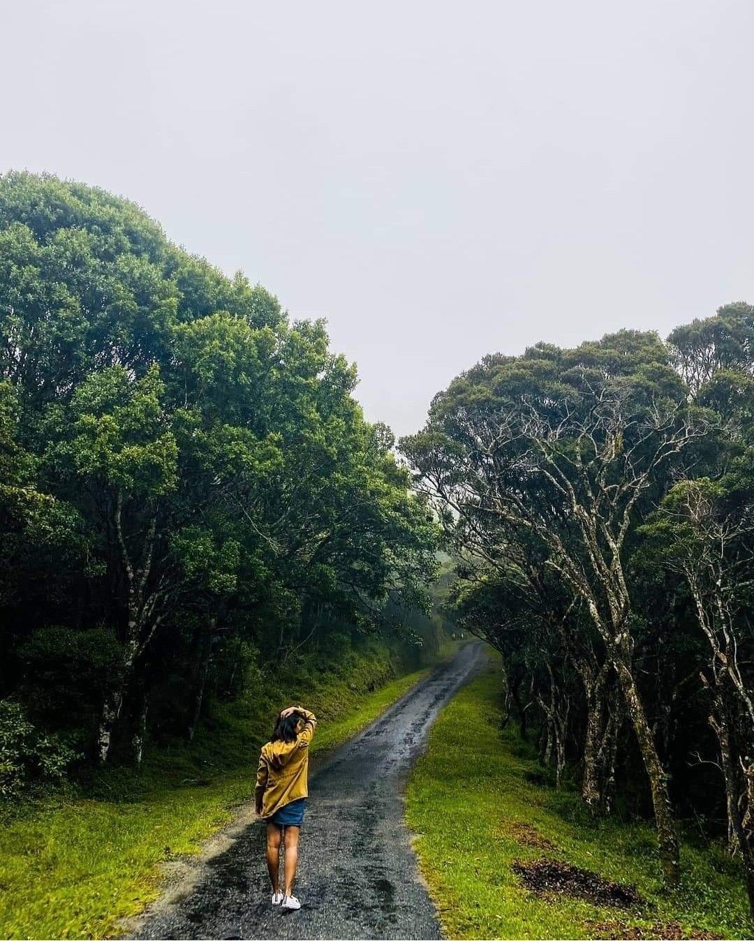 Pearl of the Indian Ocean: 10-Day Sri Lanka Heritage & Nature Journey