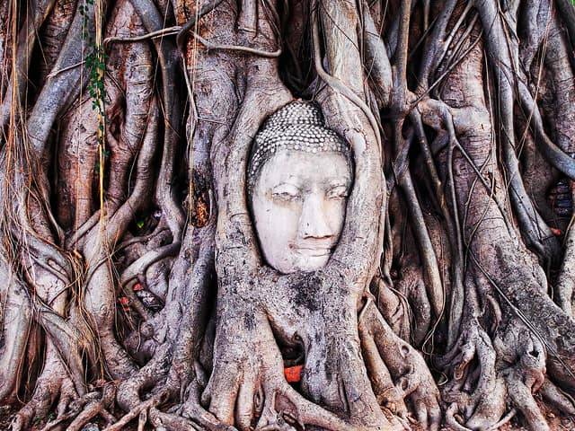 Image of Ayutthaya Timeless Temples Journey – A UNESCO Heritage Day Trip from Bangkok