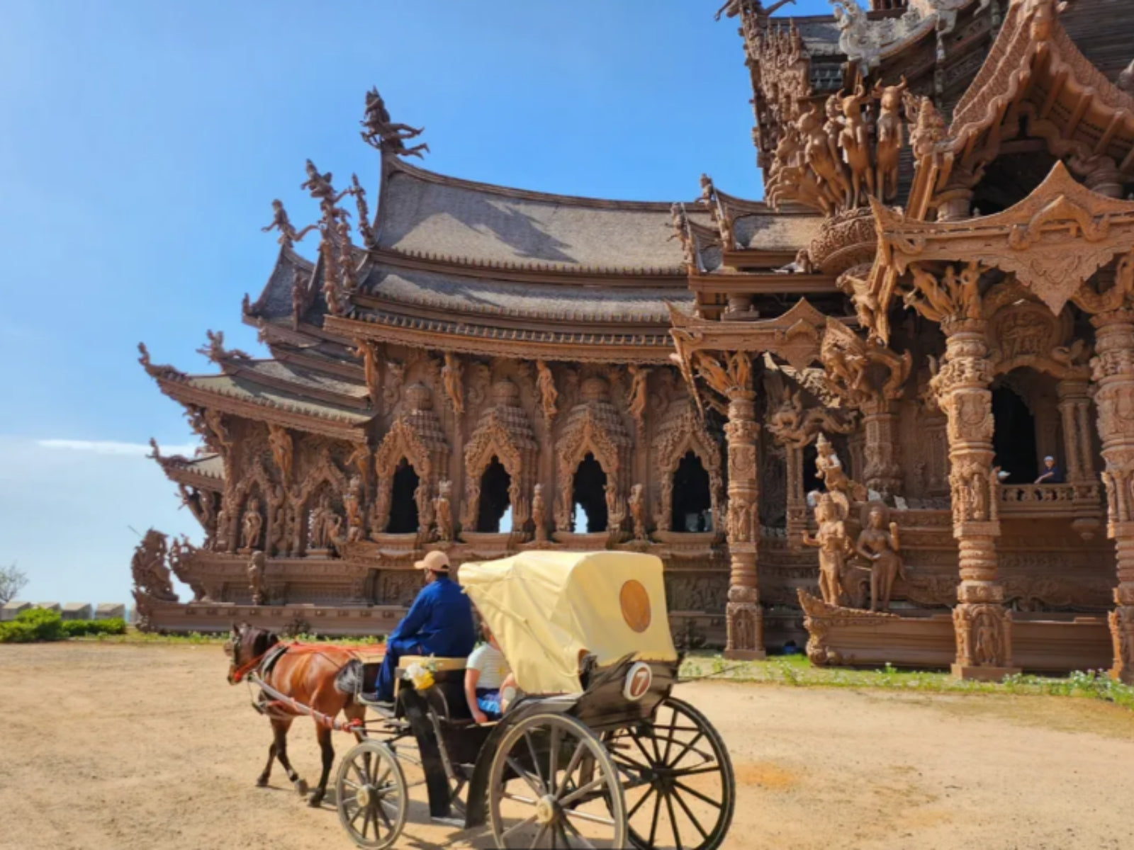 Pattaya Highlights Tour – Elephant Sanctuary, Iconic Cafés & Sunset Fish Market