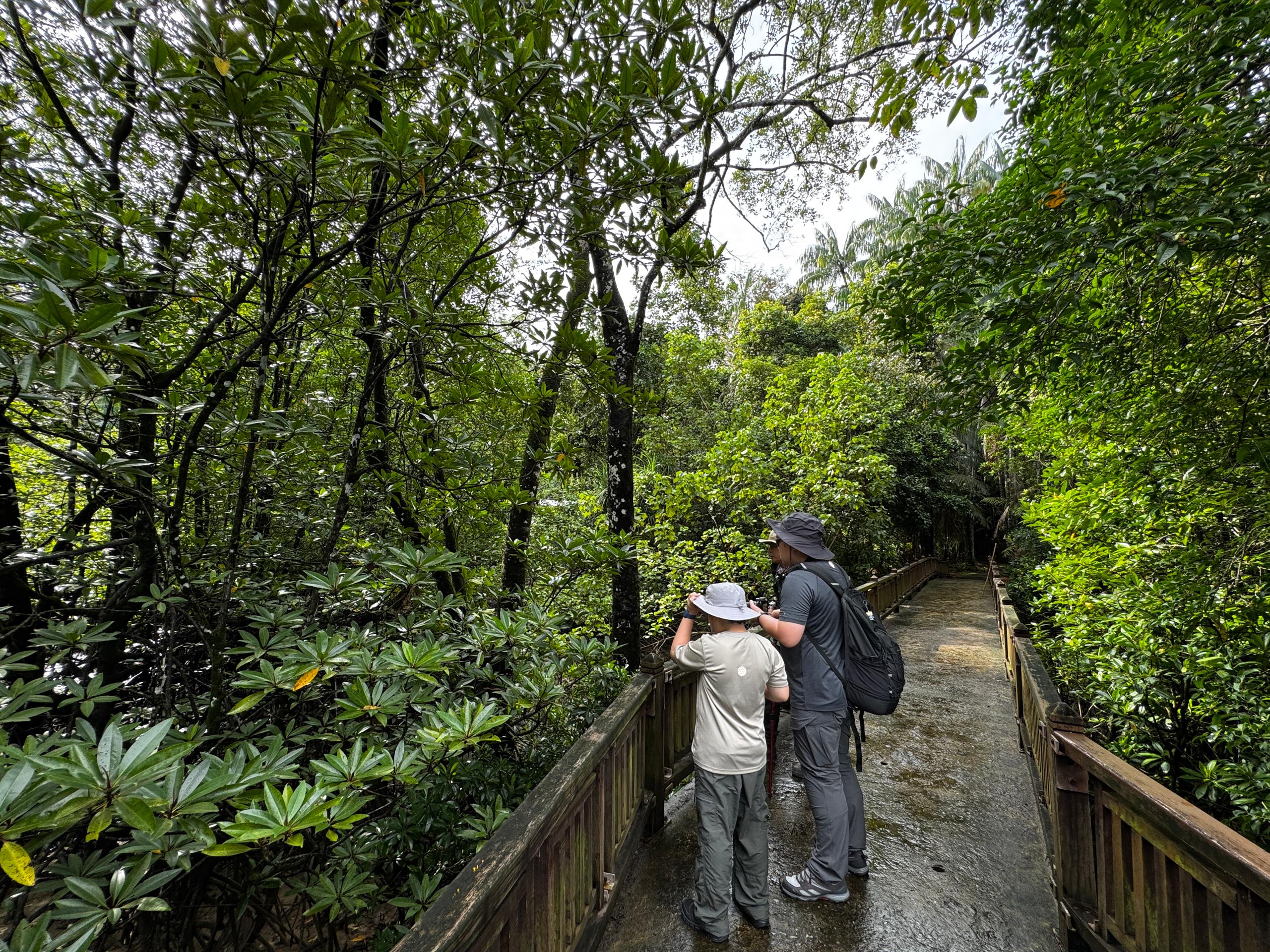 Image of 5D4N SARAWAK ADVENTURE