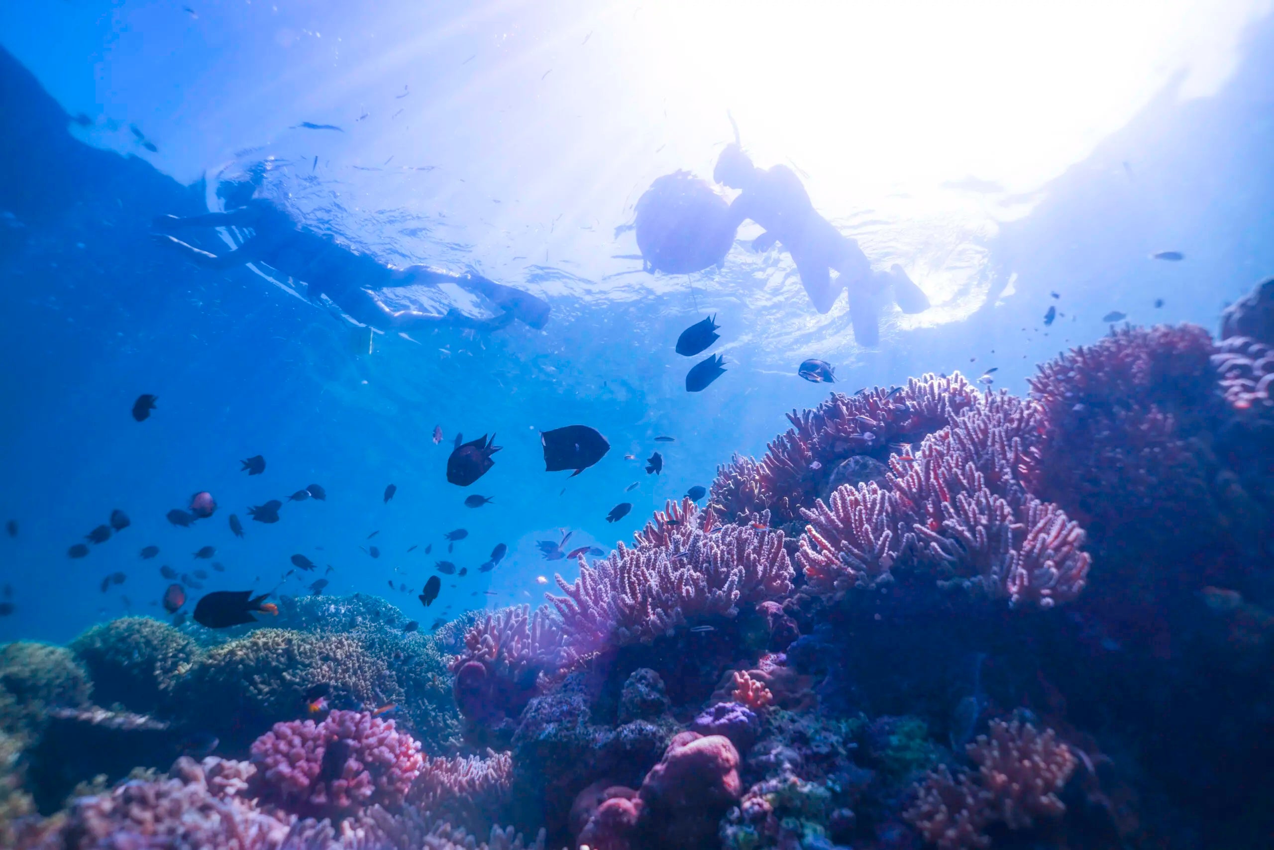 Image of Lake Linow 3D2N: Manado Tour Package with Volcano Lake & Hot Springs