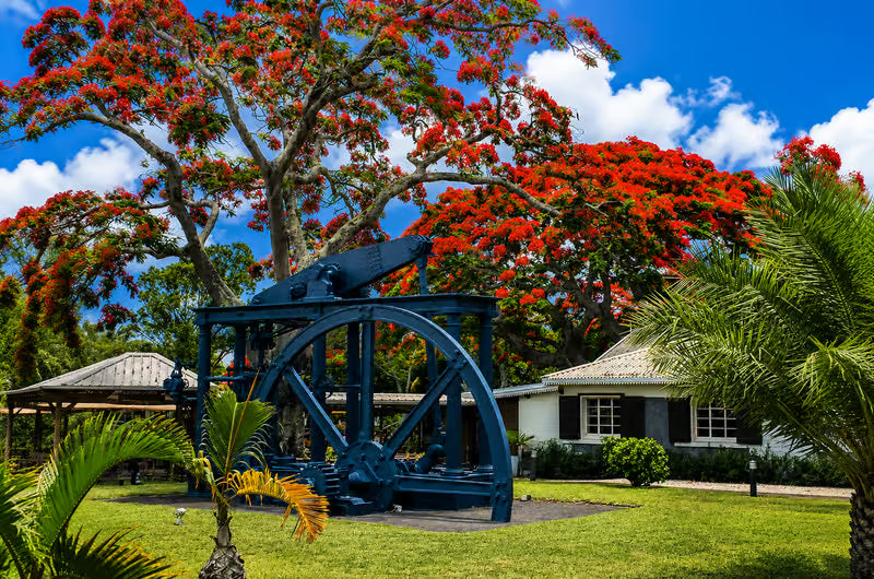 Image of Discover North Mauritius: Botanical Gardens, Sugar Museum & Colonial Charm