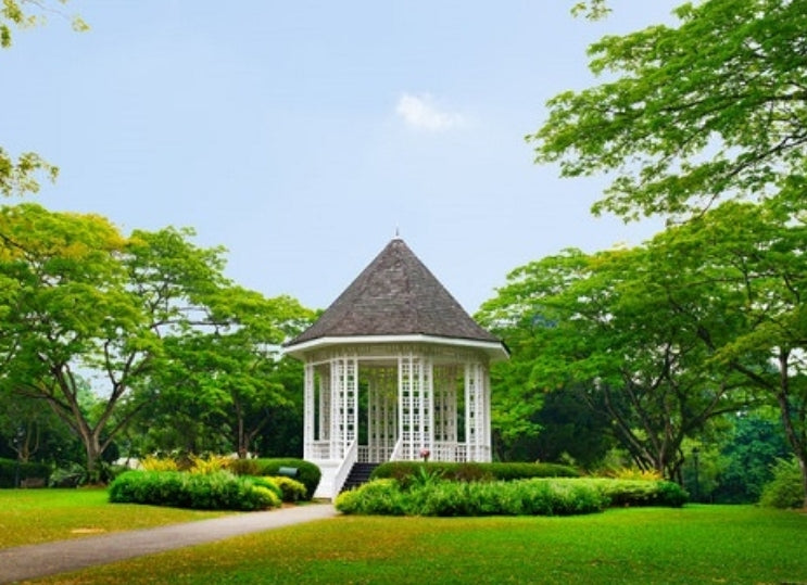 Singapore Signature Walk: Chinatown Culture, Flavors & Green Escapes (Morning)