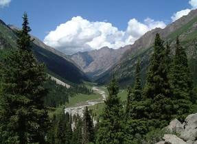 The Great Silk Road Explorer: From Samarkand’s Domes to Issyk Kul’s Shores