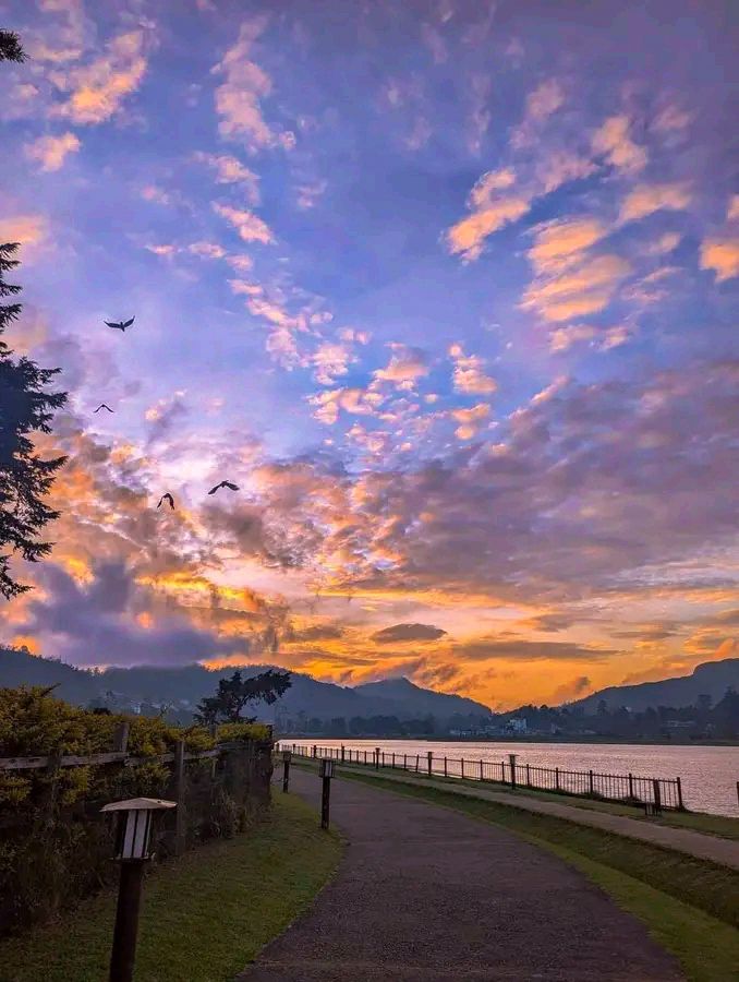 Image of Pearl of the Indian Ocean: 10-Day Sri Lanka Heritage & Nature Journey