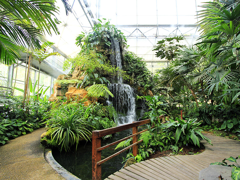 Image of Mae Rim Wonders: Elephant Camp, Sky Adventures & Moroccan Charm