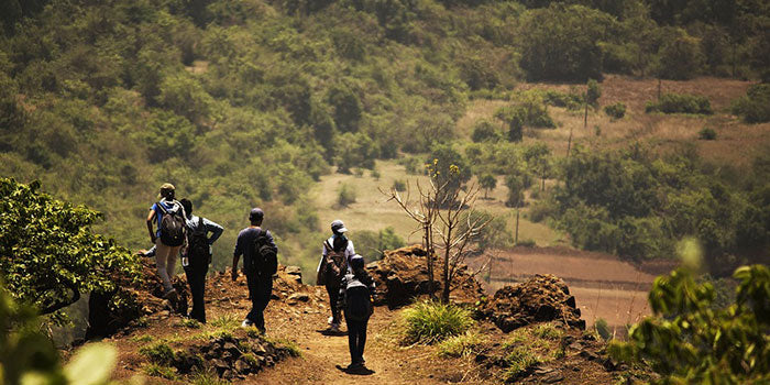 8D Langtang Valley Adventure: Journey Through Himalayan Wonders