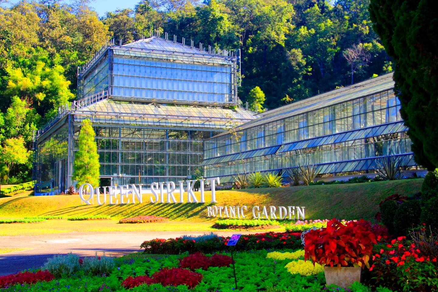 Mae Rim Wonders: Elephant Camp, Sky Adventures & Moroccan Charm