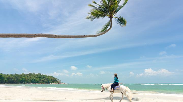 Image of Batam Bintan Escape 4D3N | Temples, Beaches & Island Adventure