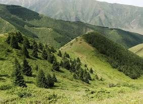 Image of Mountains, Minarets & Manuscripts: A 10-Day 3-Stan Journey