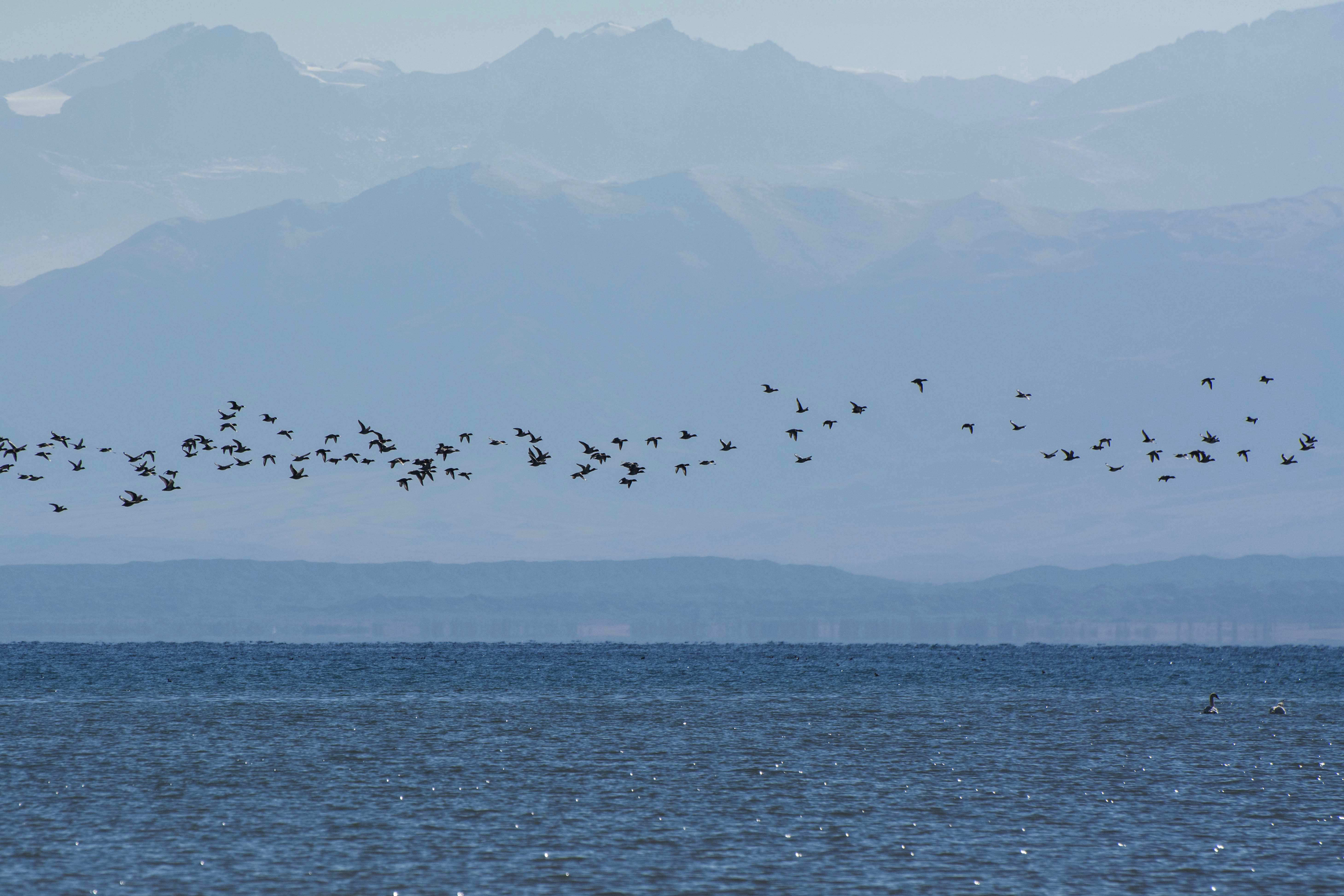 Image of 8D Timeless Issyk-Kul: Culture, Canyons & Nomadic Life of Kyrgyzstan