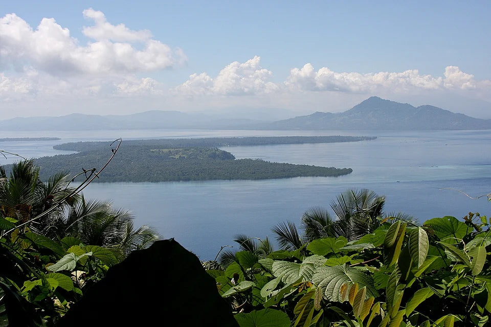 Image of 4D Volcanoes, Lakes & Coral Reefs: Minahasa & Bunaken Tour