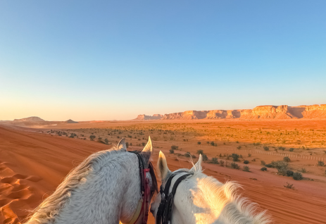 Image of Riyadh Night Desert Escape — Guided Dune Safari, Dinner, Overnight Camp
