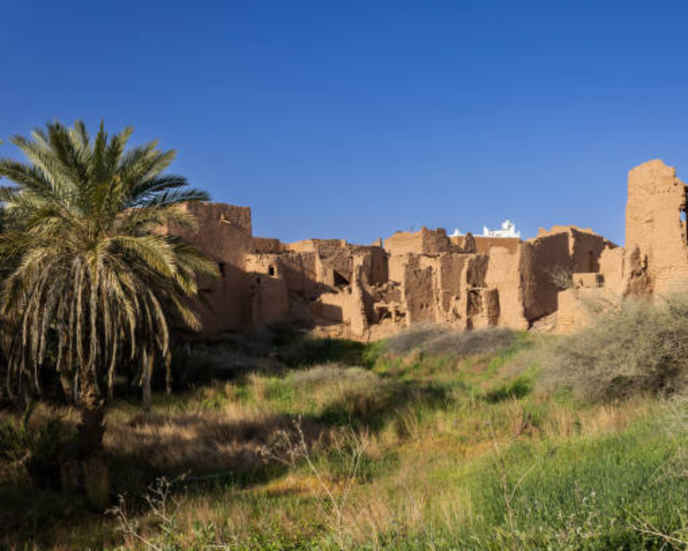 Image of Riyadh Cultural Road Trip — Lake Prodan, Ushaiger, Shagra & Salt Treatment