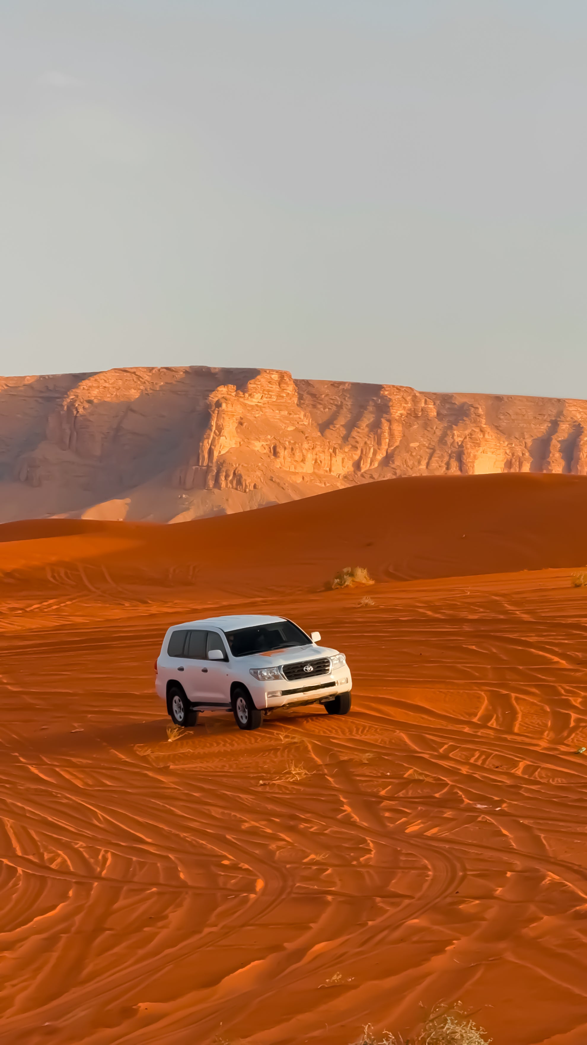Image of Sunrise Horse Riding in Red Sand Dunes — Riyadh Desert Safari