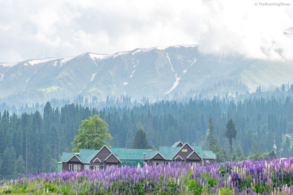 Image of 5D4N Kashmir & Agra Tour – Gulmarg Gondola & Taj Mahal