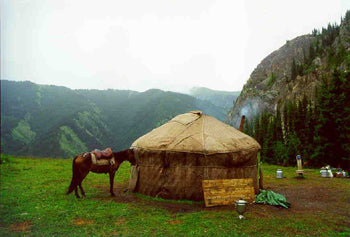 Adventour Global