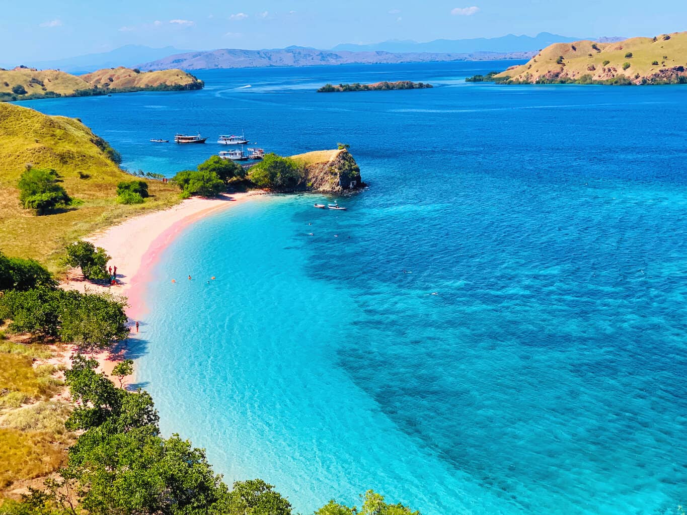 Image of [Private Charter] Komodo Dragon & Pink Beach Family Sailing Tour – 3D2N Komodo National Park Experience