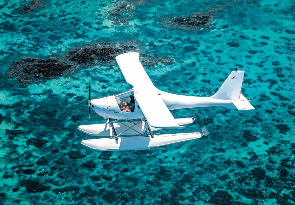 Image of Swim with Dolphins & Island Escape – Crystal Rock & Île aux Bénitiers Tour