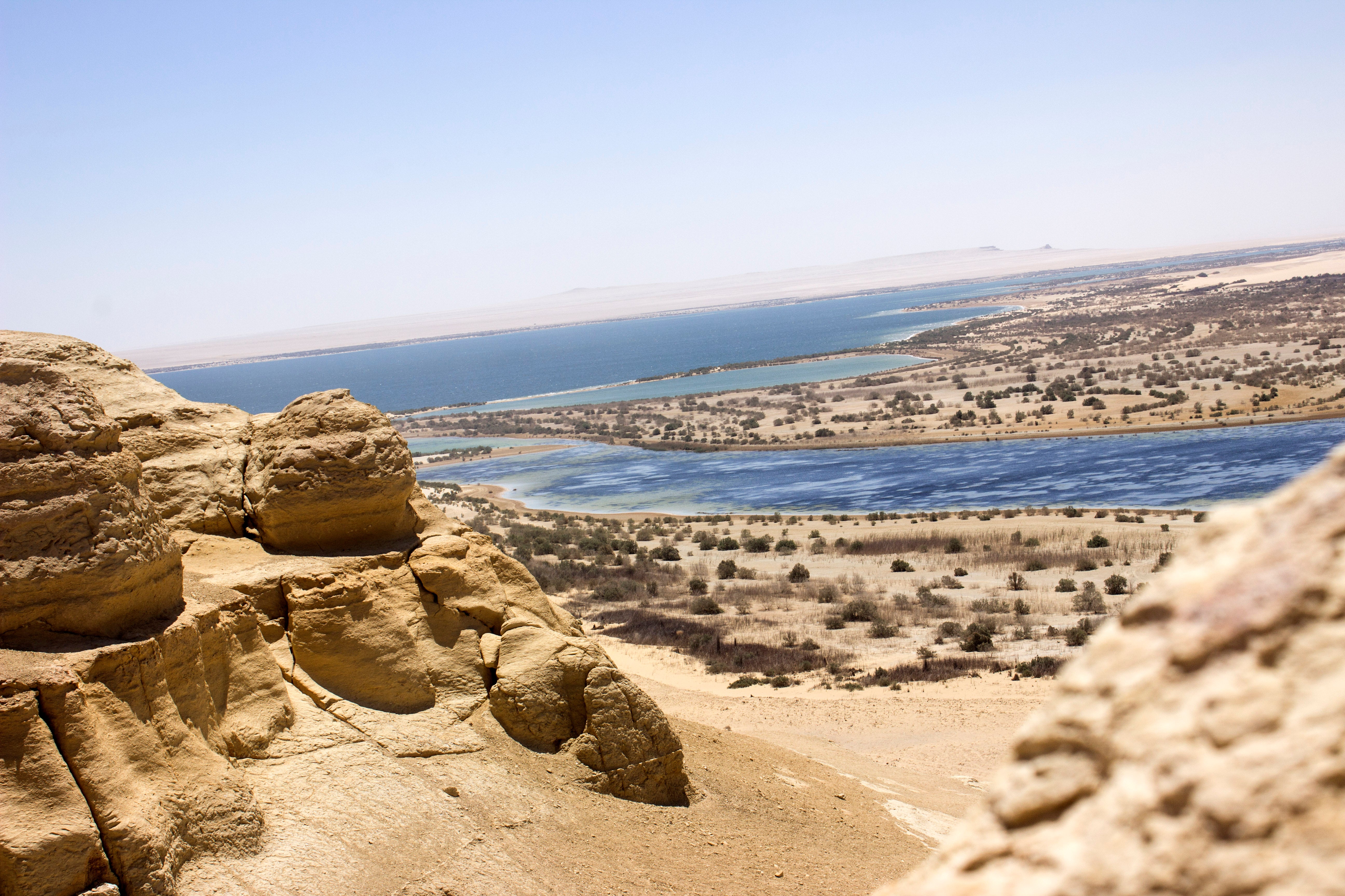 Image of El Fayoum Day Trip from Cairo — Wadi Hitan & Wadi El Rayan