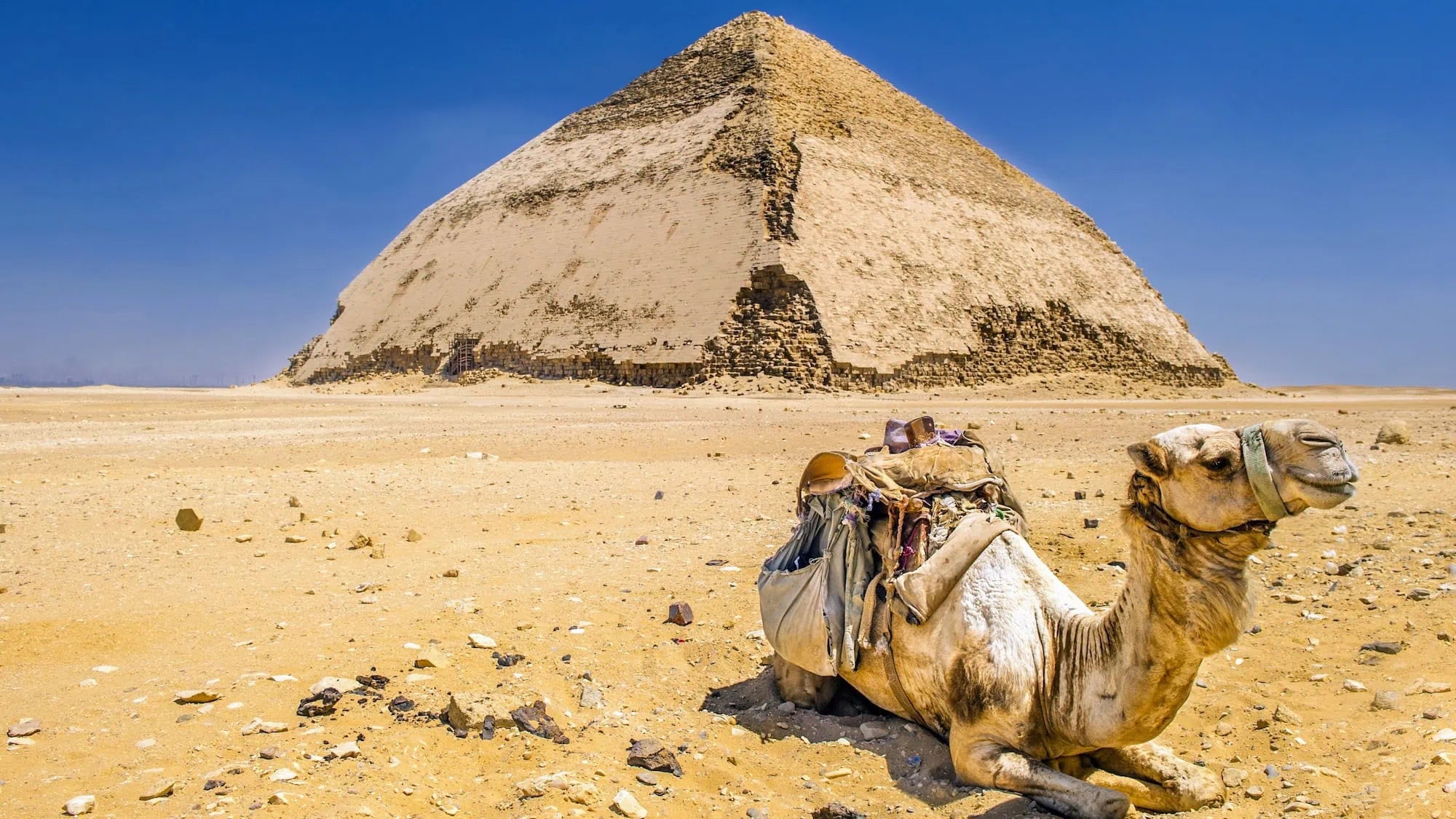 Image of Sunrise/Sunset Camel & Horse Tour from Giza — Off Road Pyramid Safari