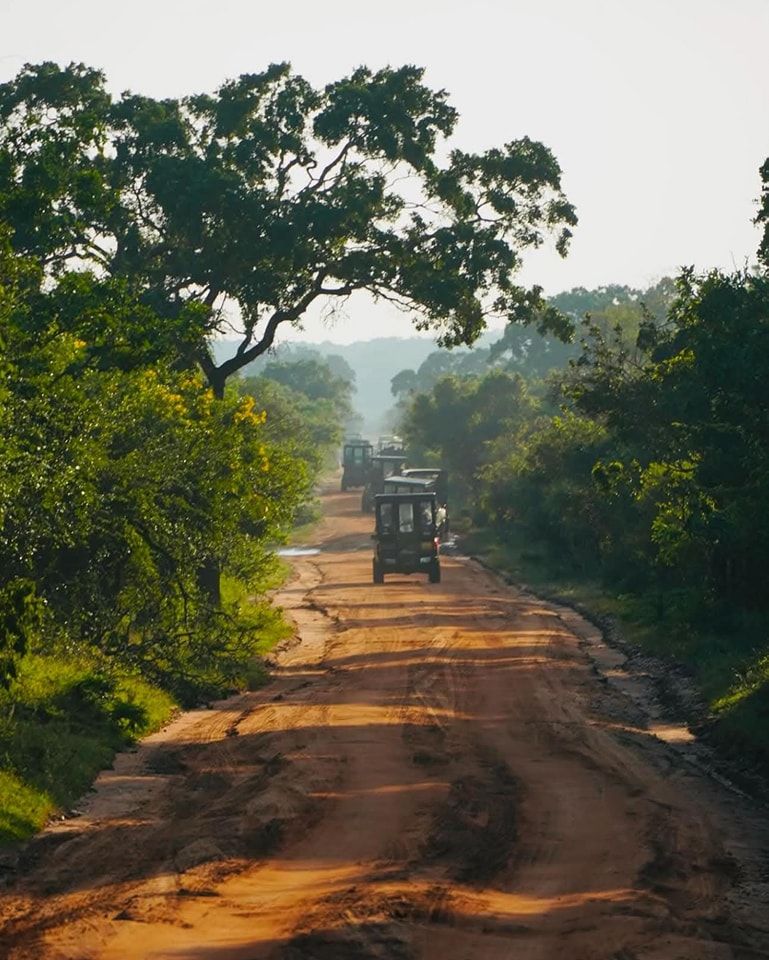 6D Sri Lanka Express Journey: Ancient Wonders & Scenic Escapes