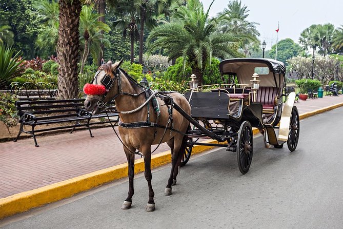 Aswan City Horse-Drawn Carriage — Elephantine & Corniche Experience