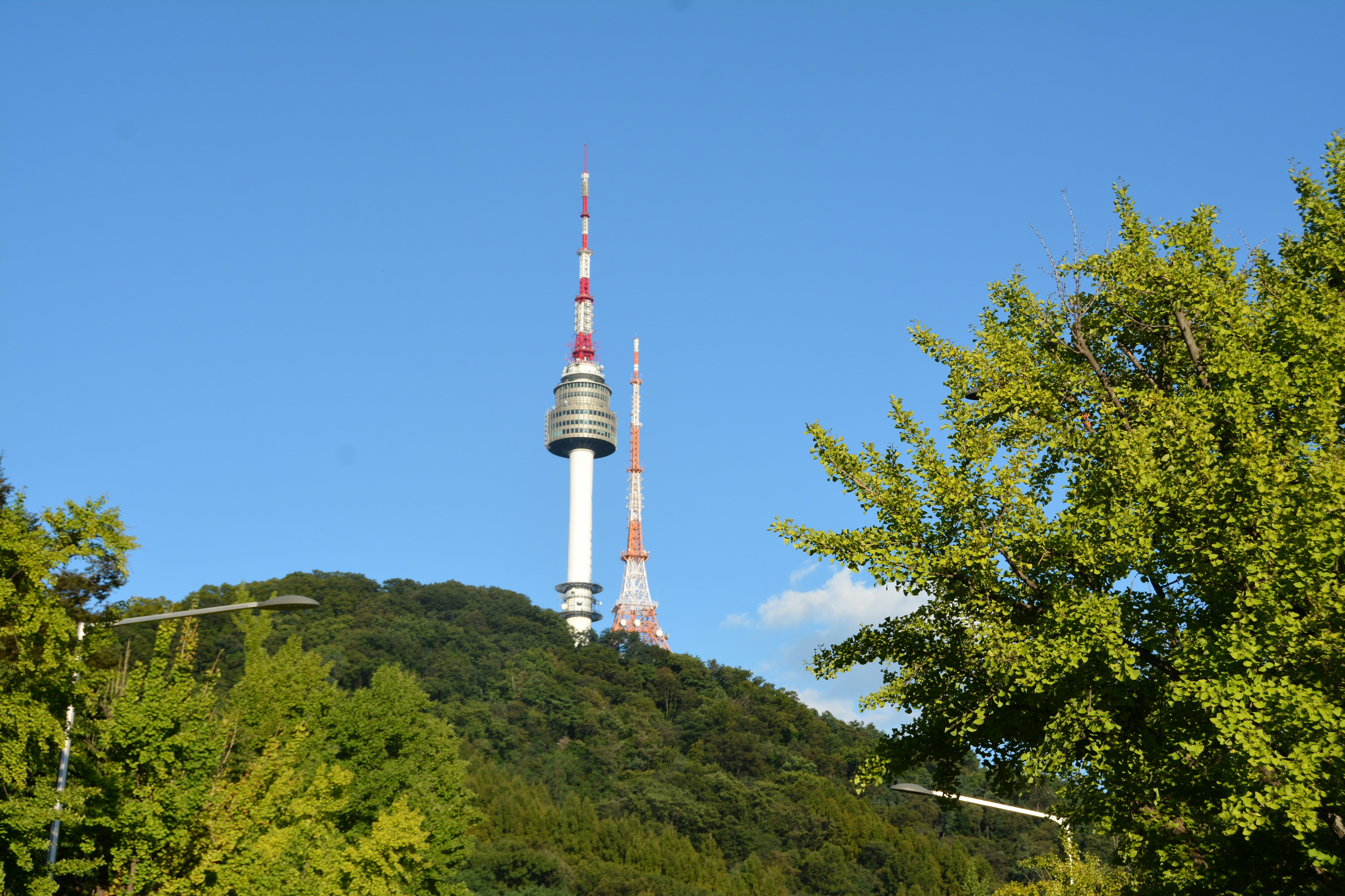 Image of Discover Seoul: Gyeongbok Palace, Bukchon Hanok & N Seoul Tower (Muslim-Friendly)