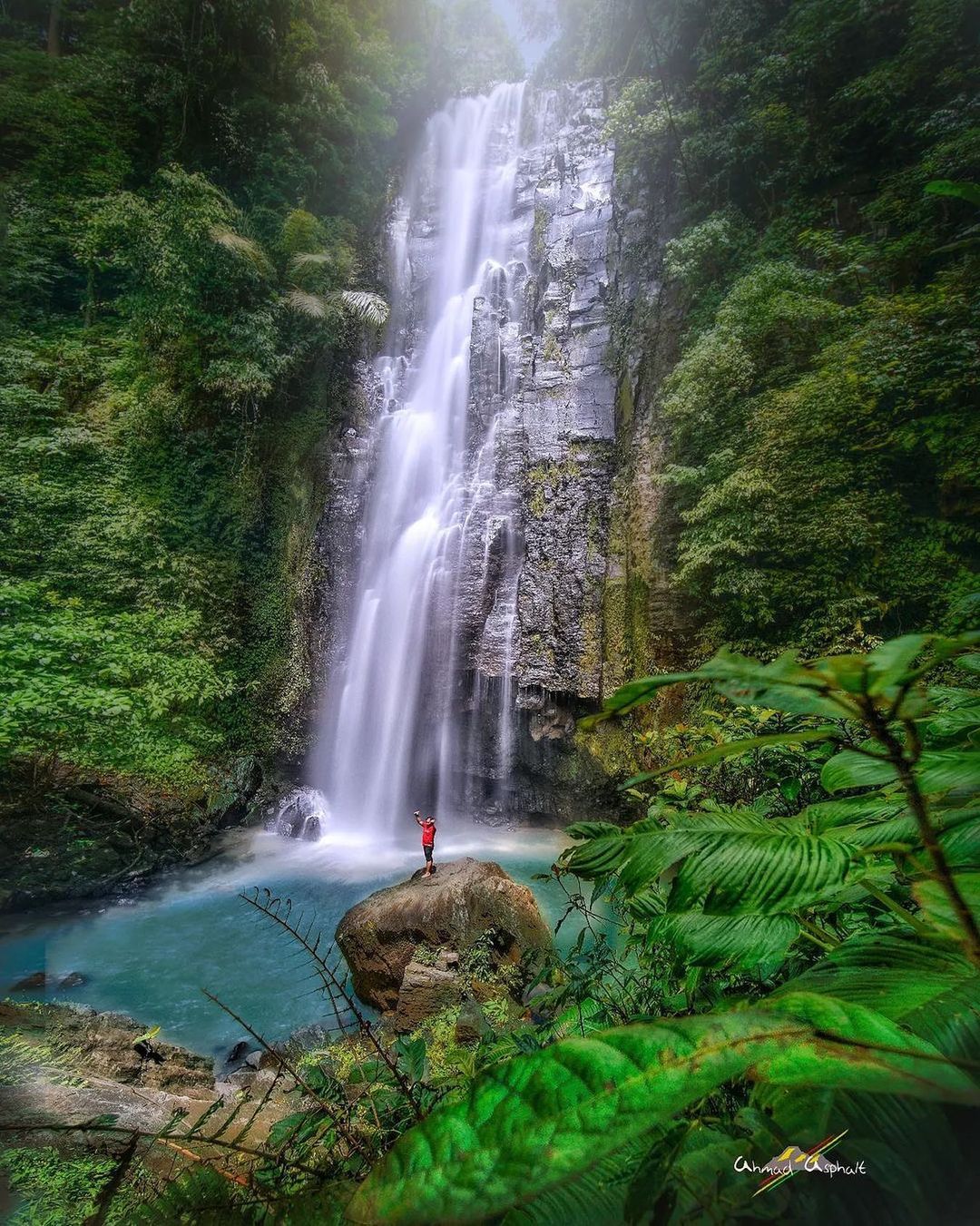 6D Manado & Tomohon Highlights: Tarsiers, Volcanoes & Bunaken