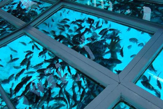 Image of Sharm Glass Boat Tour – Near & Far Garden Red Sea Cruise