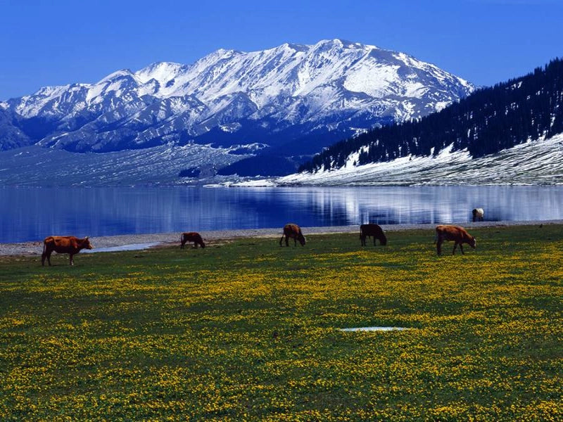 Image of 8-Day Southern Xinjiang Culture & Pamir Plateau Light Trekking Tour
