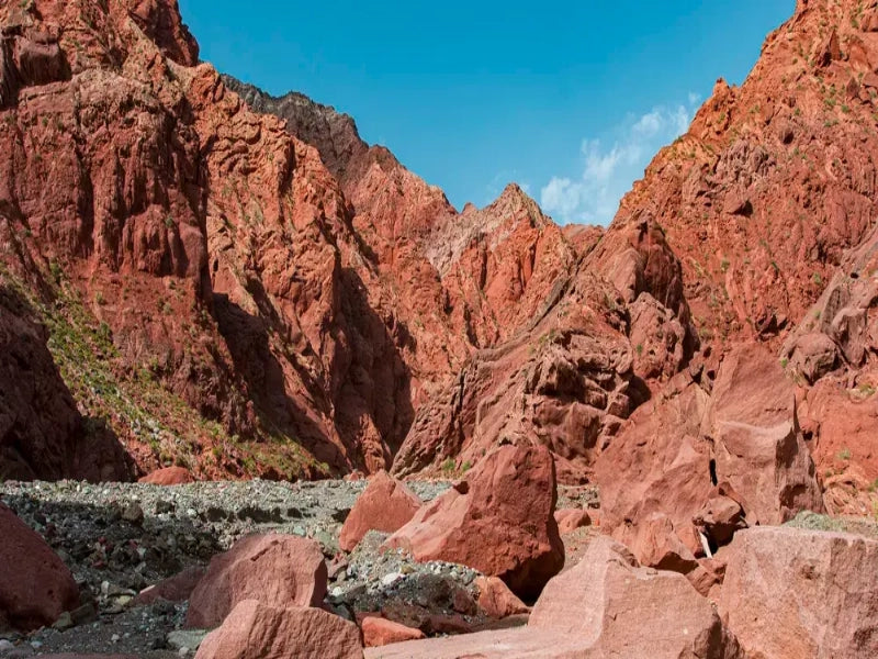 Image of 8-Day Southern Xinjiang Culture & Pamir Plateau Light Trekking Tour