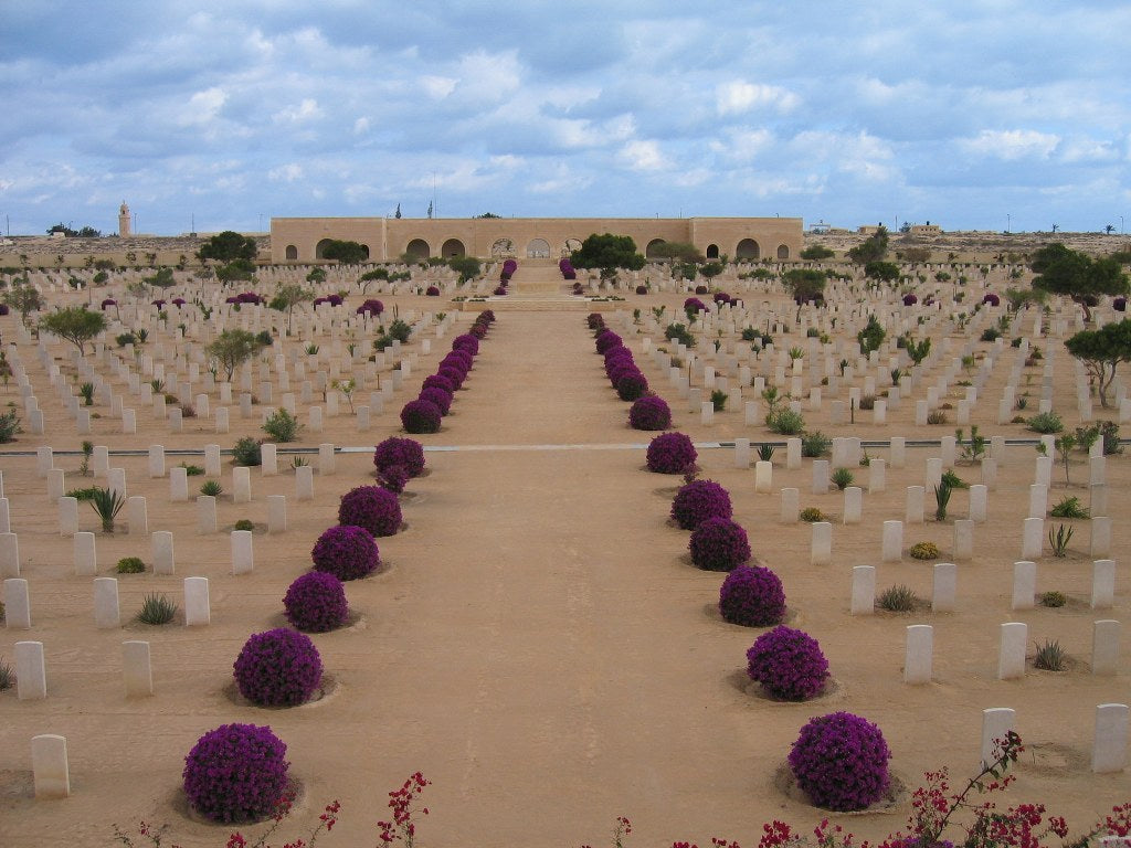 Image of Best Alamein WWII Tour — Tanks, War Museum & Historic Battle Sites from Alexandria