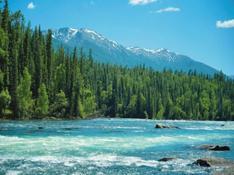 Image of 11-Day Grand Northern Xinjiang Light Trekking Tour: Altay & Yili Highlights
