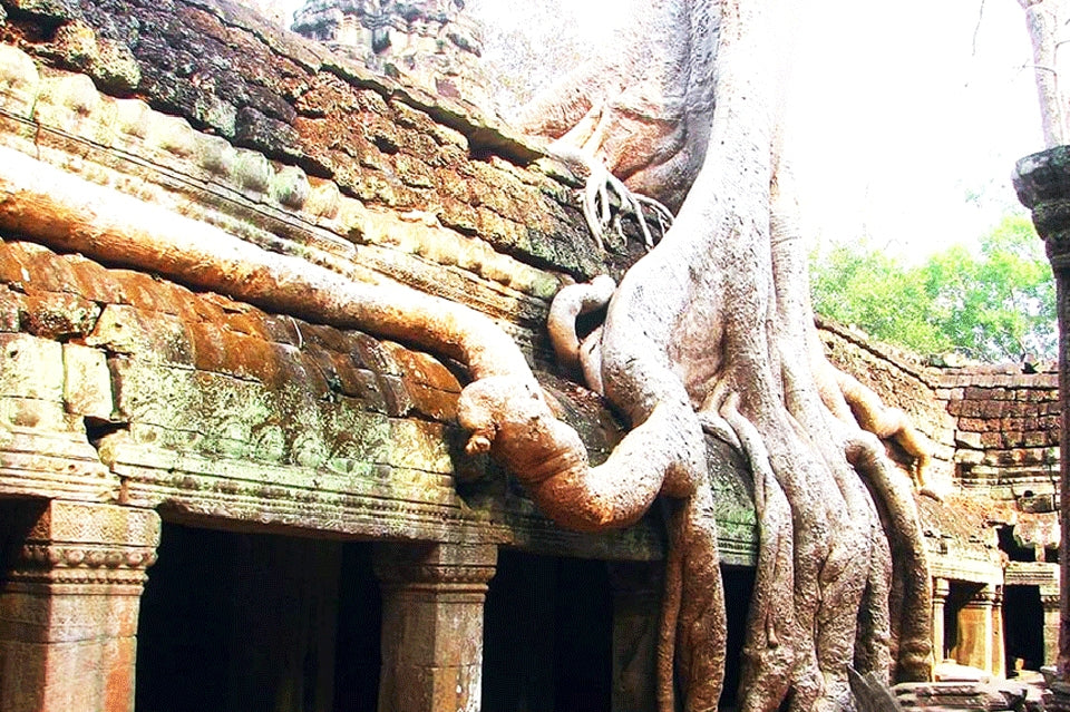 1-Day Temple Escape: Avoid the Heat and Crowds