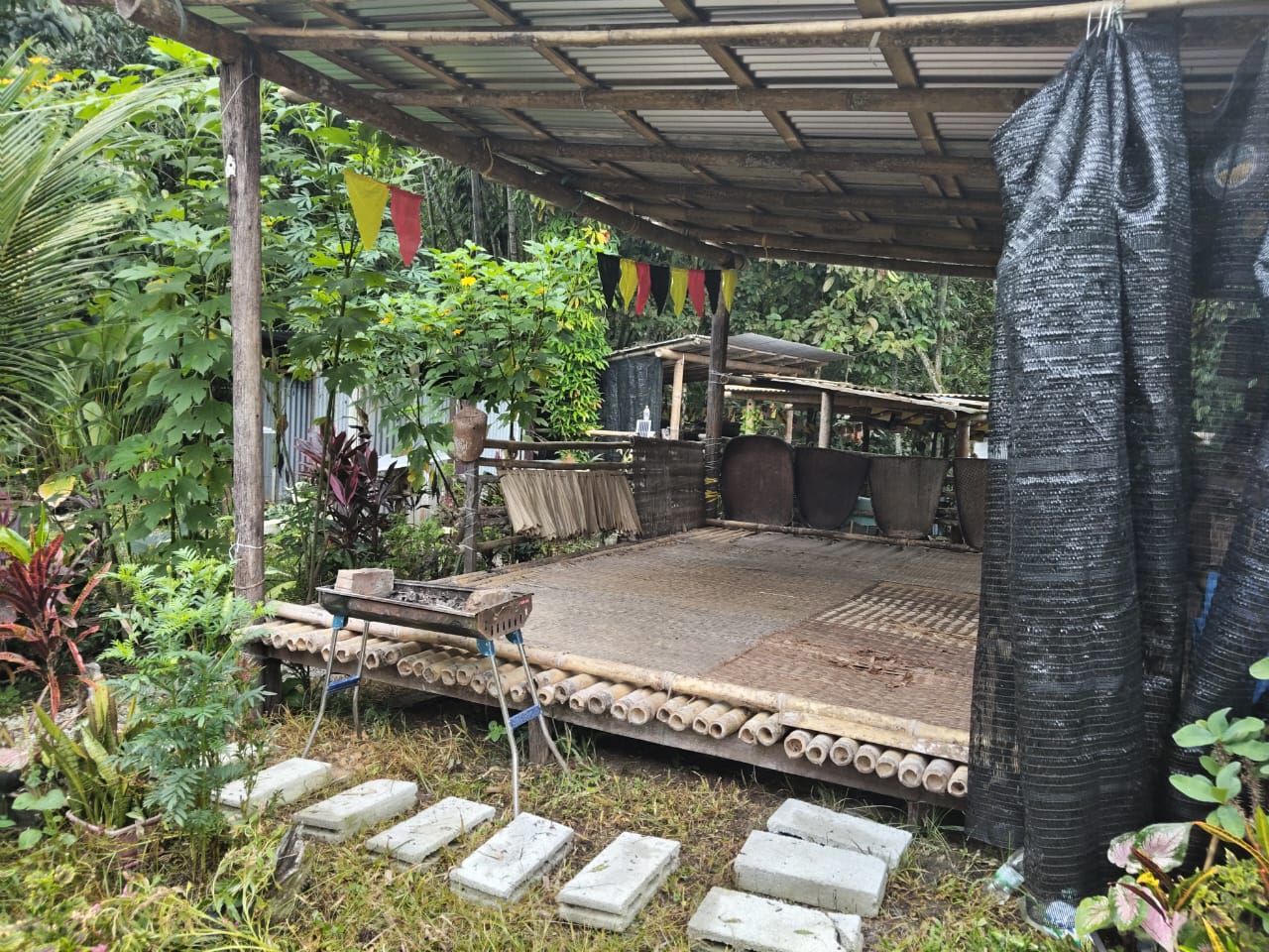 Image of SEMENGGOH ORANGUTAN & BIDAYUH LONGHOUSE