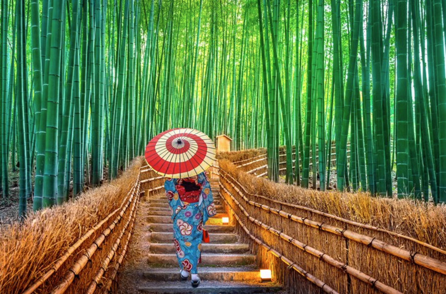 Image of Best Osaka Kyoto Nara Tour with Universal Studio Japan (5D4N)