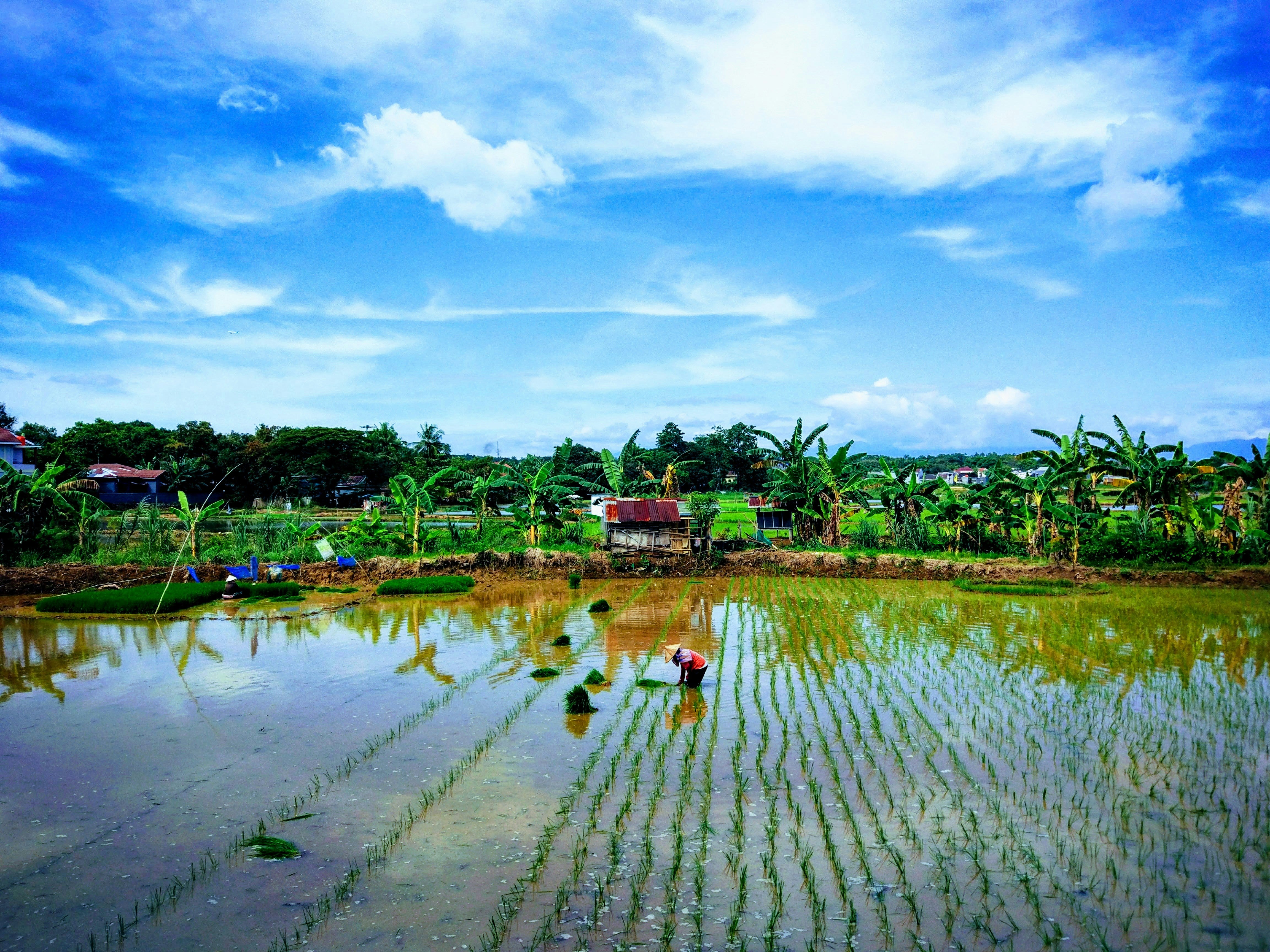 Image of Manado Island Escape 4D: Bunaken Diving, Makatete Views & Bukit Kasih