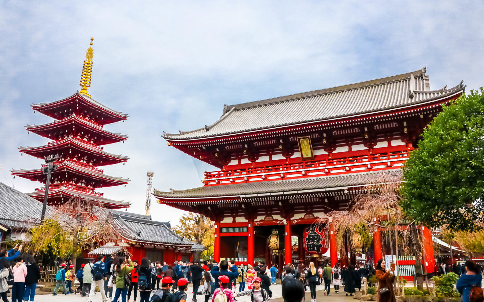 Muslim-Friendly Japan: 7D6N Halal Dining + Cultural Icons