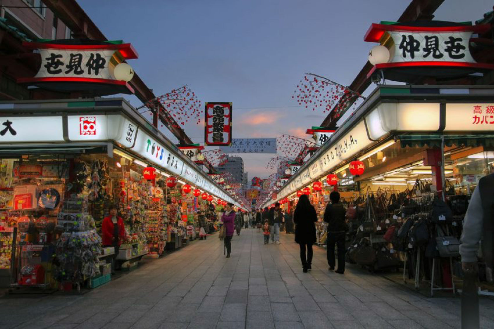 Muslim-Friendly Tokyo 5D4N — Halal Meals & Disneyland Day