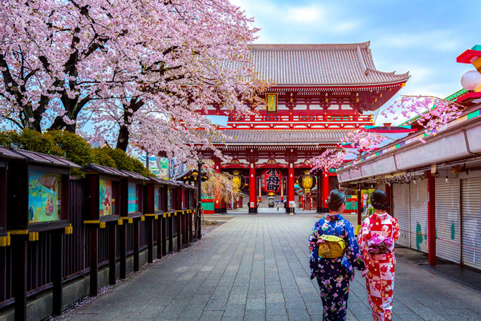 Muslim-Friendly Tokyo 5D4N — Halal Meals & Disneyland Day