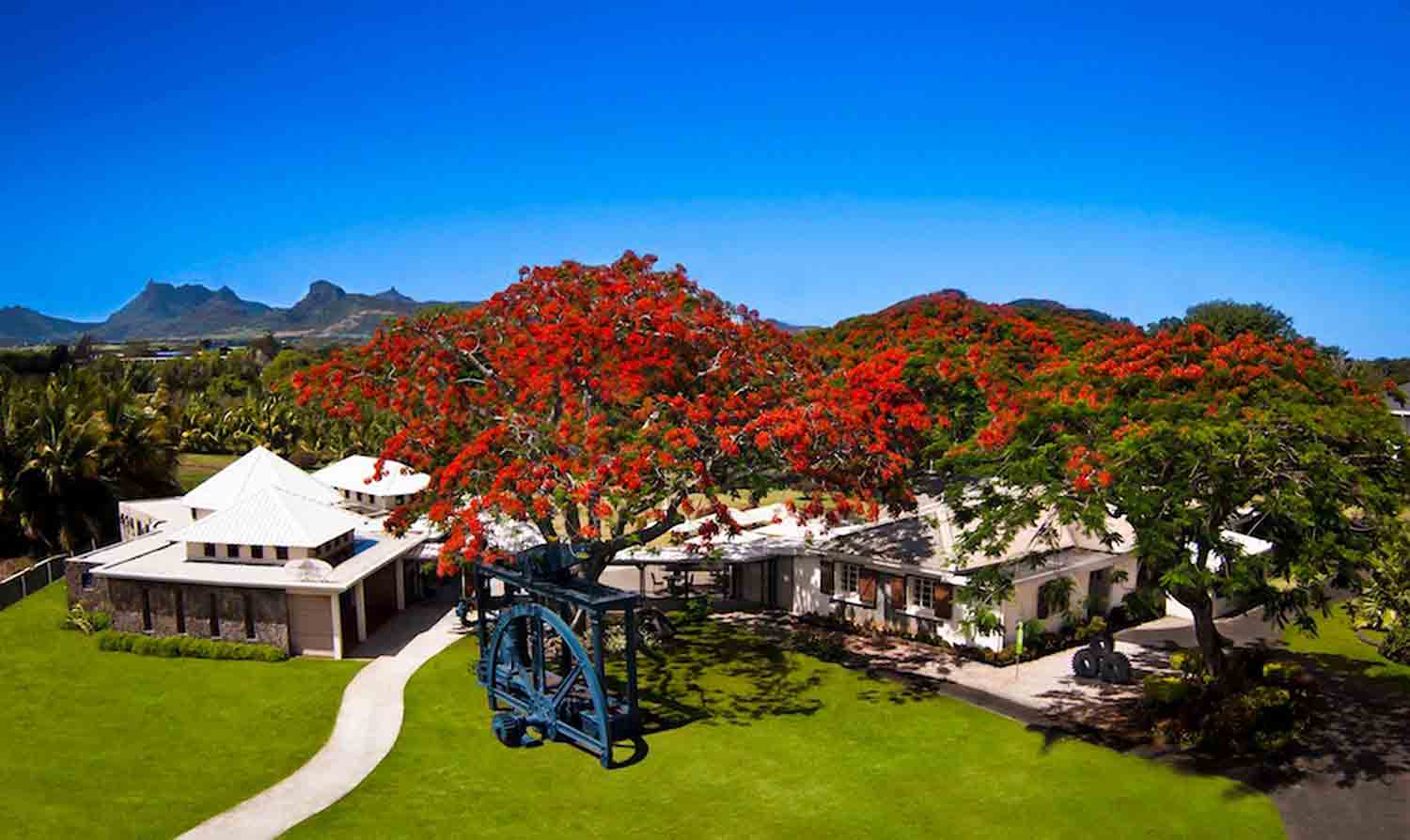 Image of Discover North Mauritius: Botanical Gardens, Sugar Museum & Colonial Charm