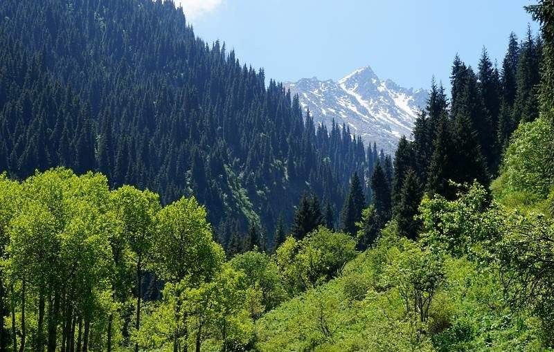 Image of Almaty Signature Odyssey: Canyons, Alpine Lakes & Nomadic Heritage