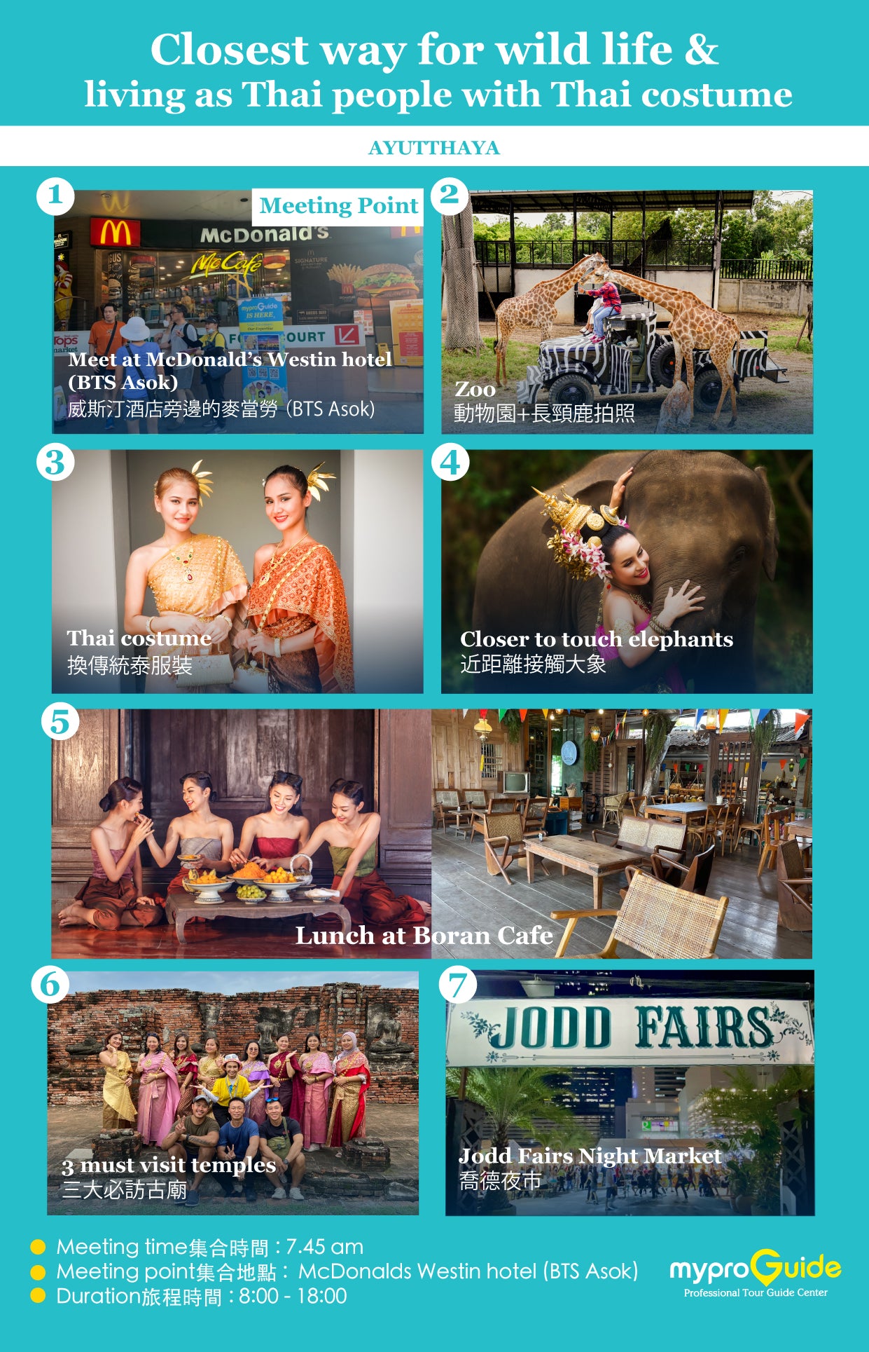 Wildlife & Wonders: Ayutthaya Lion Park, Thai Costume & Ancient Temples Adventure