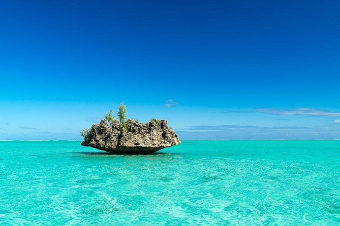 Swim with Dolphins & Island Escape – Crystal Rock & Île aux Bénitiers Tour