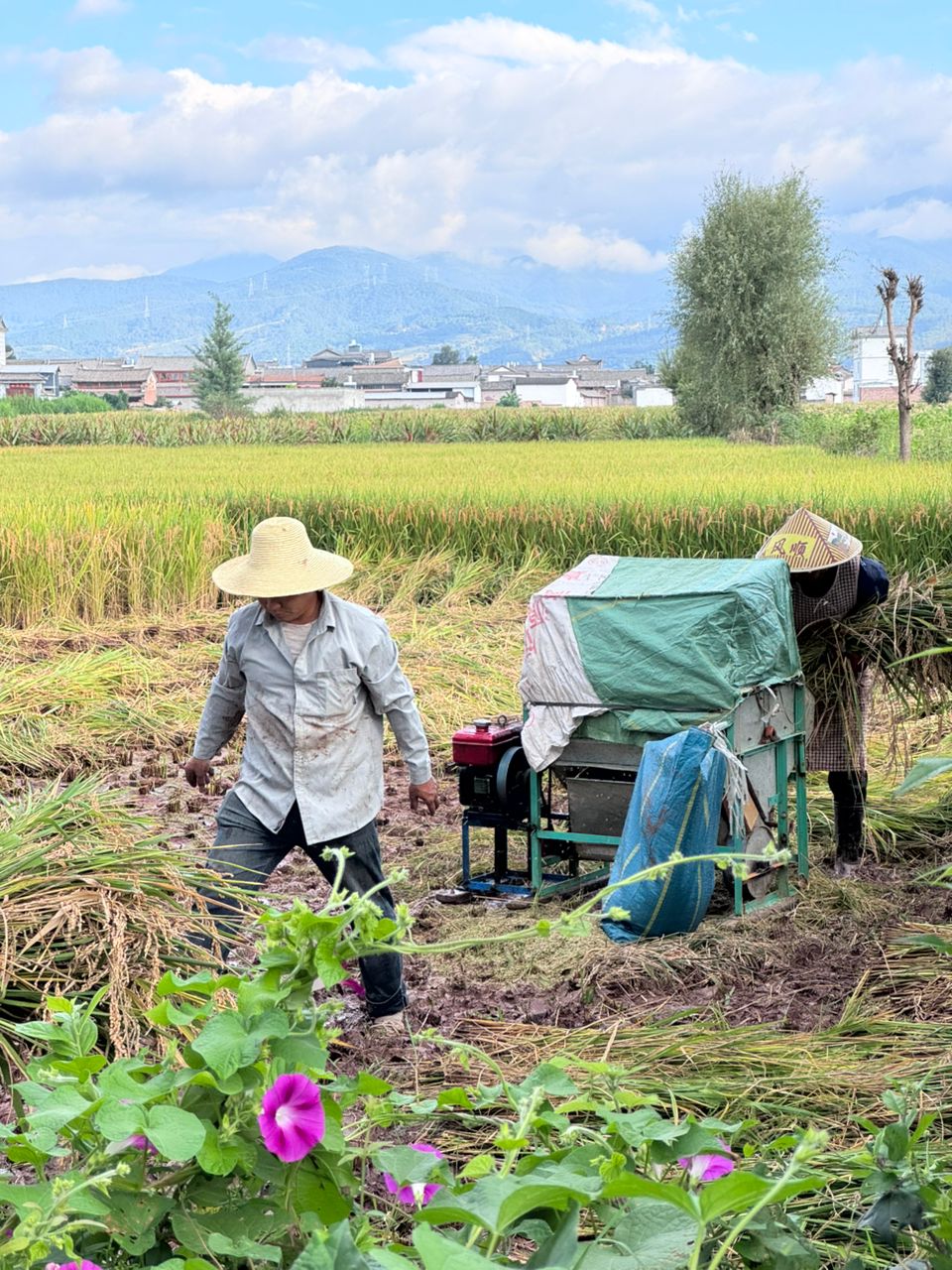Image of 7D Whispers of Shangri-La: A Muslim-Friendly Journey Through Yunnan's Soul