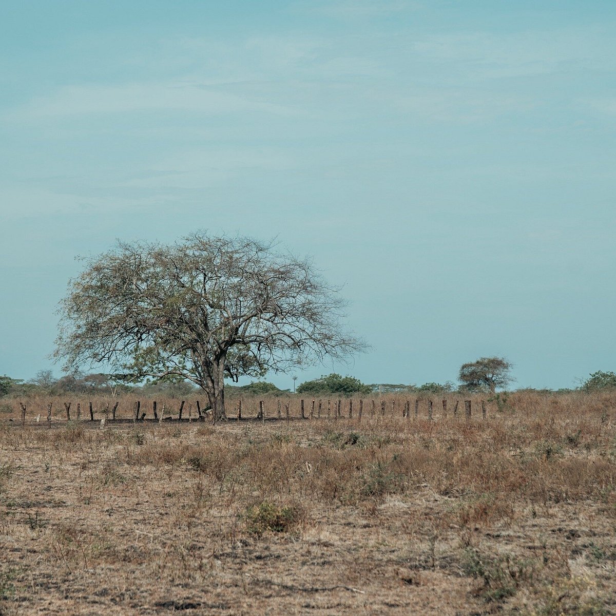 [4* Hotel] Banyuwangi Nature Discovery: Savannas, Forests & Coastal Wonders