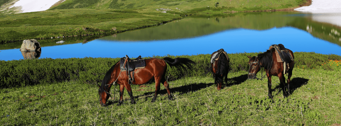Image of Altyn Emel National Park Explorer Singing Dunes Aktau and Tamgaly Tas